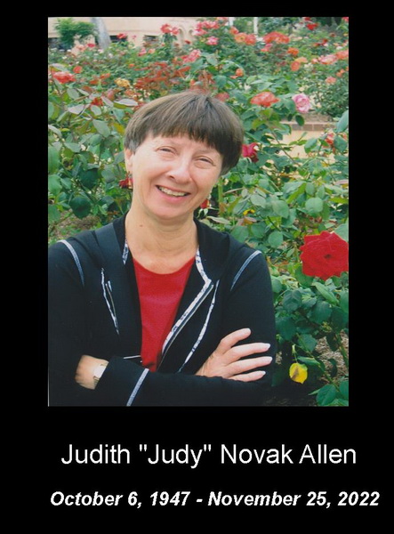 Judy Allen